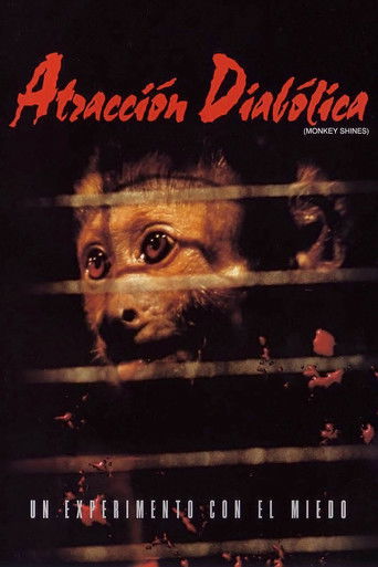 Póster de Atracción diabólica (Monkey Shines)