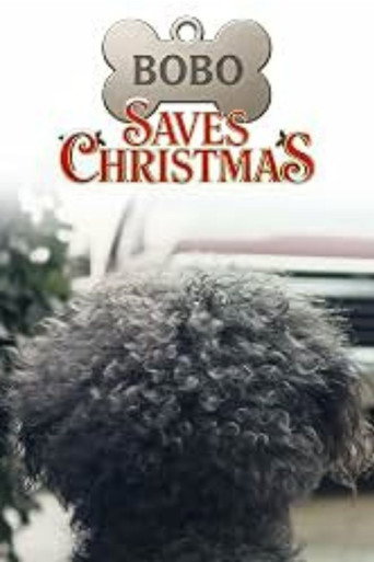 Póster de Bobo Saves Christmas