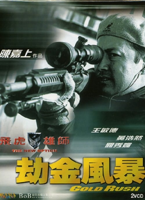 Póster de 飛虎雄師之劫金風暴