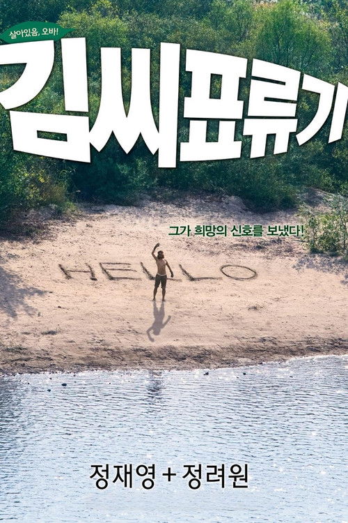 Póster de Náufrago en la luna