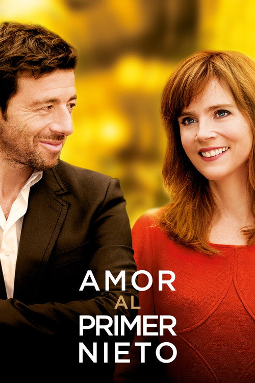Póster de Amor por Encargo