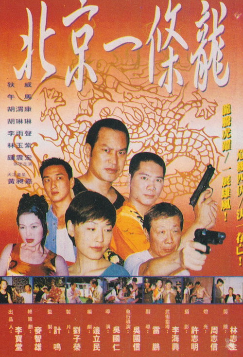 Póster de 北京一条龙