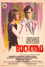 Póster de Bochorno