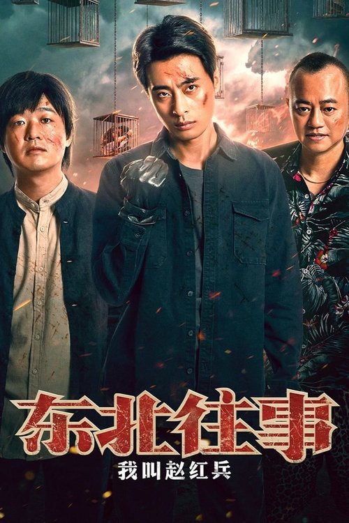 Póster de 东北往事：我叫赵红兵