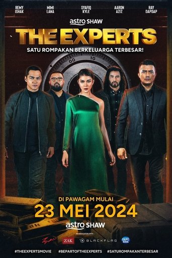 Póster de The Experts