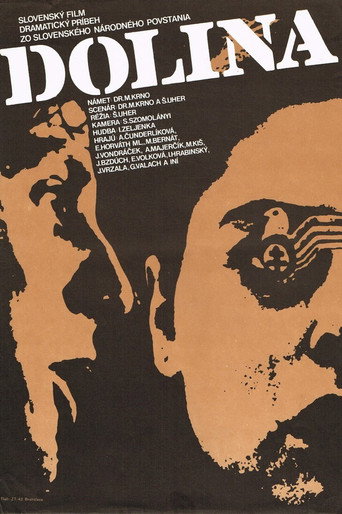Póster de Dolina