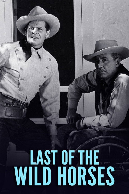 Póster de Last of the Wild Horses