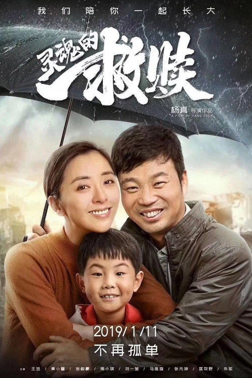 Póster de 灵魂的救赎