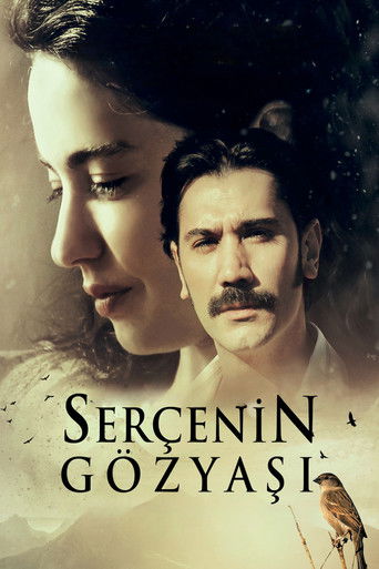 Póster de Serçenin Gözyaşı