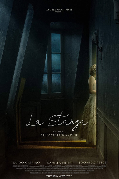 Póster de La stanza