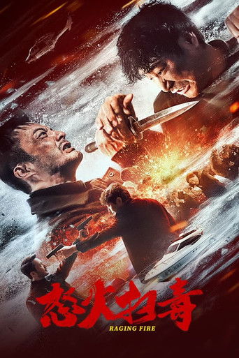 Póster de 怒火扫毒