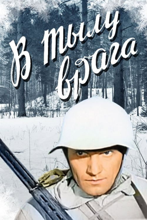 Póster de В тылу врага