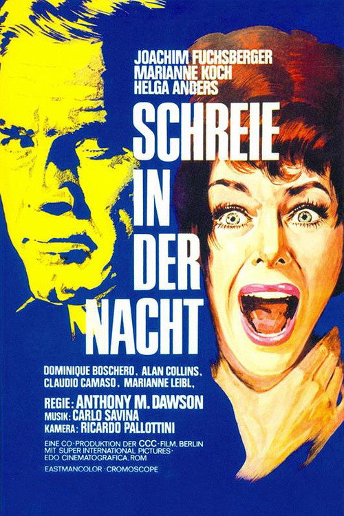 Póster de Schreie in der Nacht