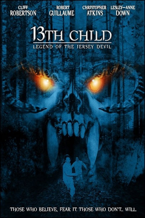 Póster de 13th Child