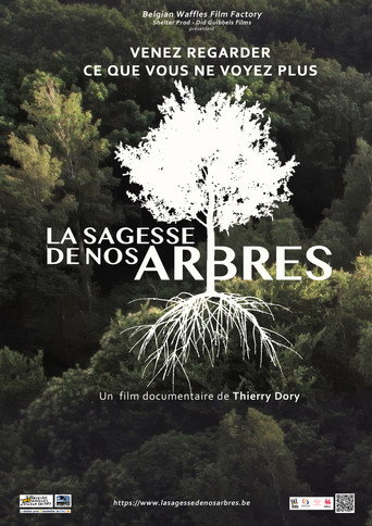 Póster de La sagesse de nos arbres