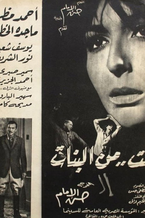 Póster de بنت من البنات