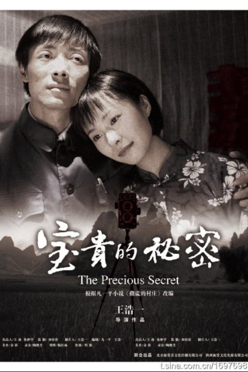 Póster de 宝贵的秘密