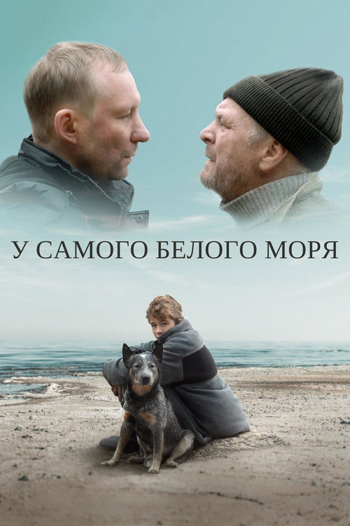 Póster de У самого белого моря