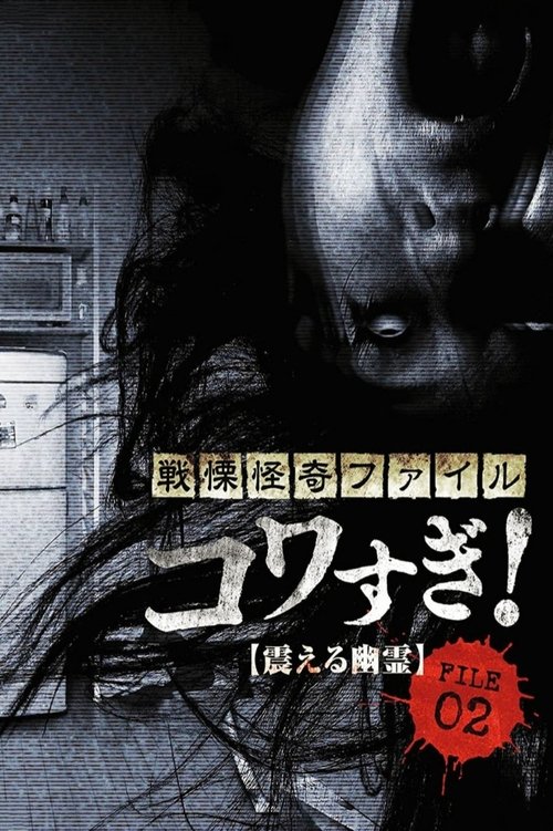 Póster de 戦慄怪奇ファイル コワすぎ！ FILE-02 震える幽霊