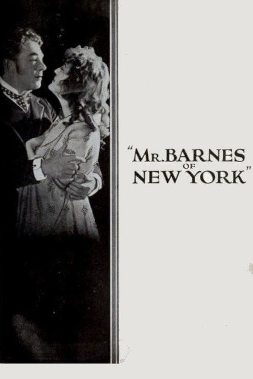 Póster de Mr. Barnes of New York