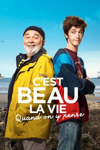 Póster de C'est beau la vie quand on y pense