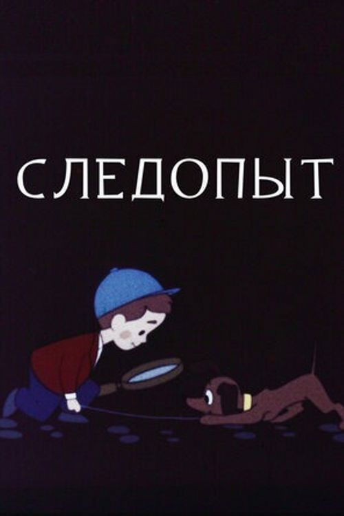 Póster de Следопыт