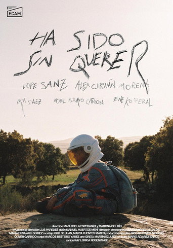 Póster de Ha Sido Sin Querer