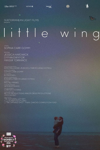 Póster de Little Wing