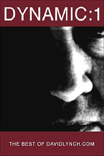 Póster de Dynamic:01: The Best of DavidLynch.com