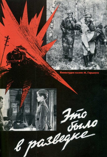 Póster de Это было в разведке