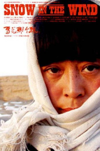 Póster de 雪花那个飘