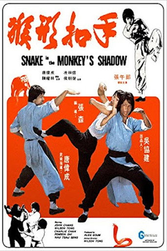 Póster de Snake in the Monkey's Shadow