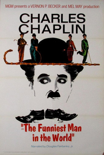 Póster de The Funniest Man in the World