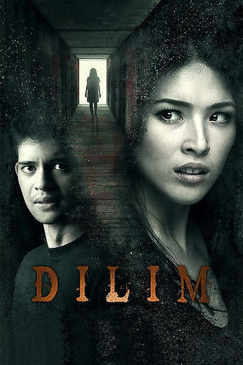 Póster de Dilim