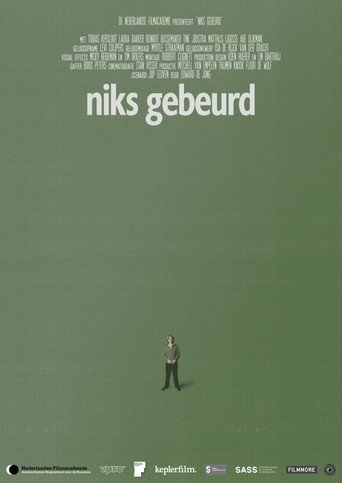 Póster de Niks gebeurd