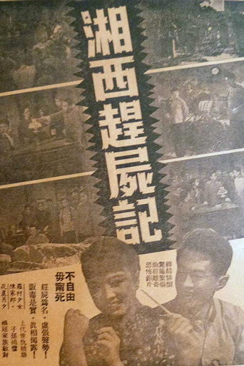 Póster de 湘西趕屍記