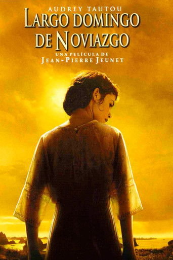 Póster de Amor eterno