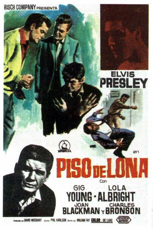 Póster de Kid Galahad