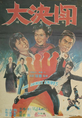 Póster de 대결투