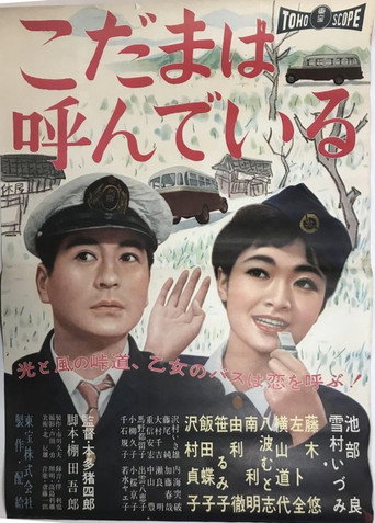 Póster de こだまは呼んでいる