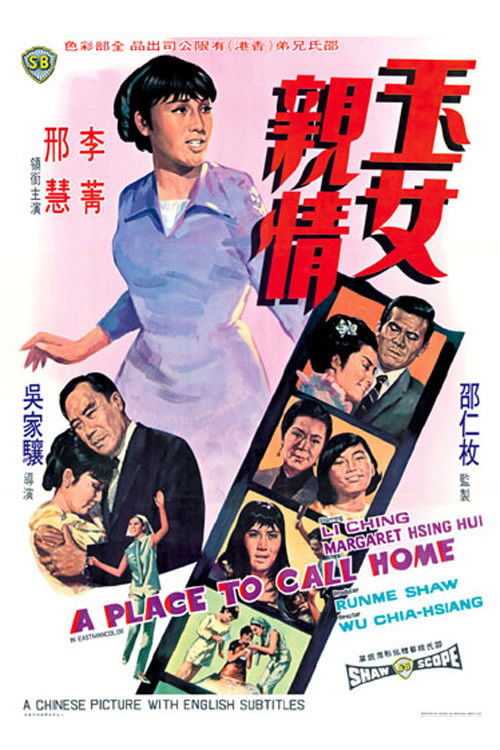 Póster de 玉女親情