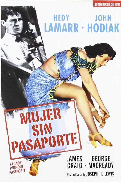Póster de A Lady Without Passport