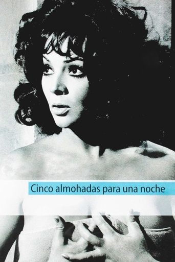 Póster de Cinco almohadas para una noche