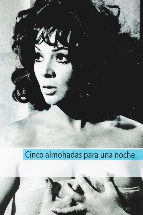 Póster de Cinco almohadas para una noche
