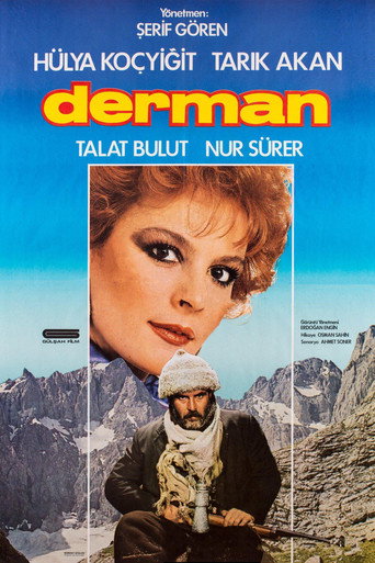 Póster de Derman