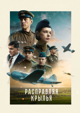 Póster de Abriendo las alas