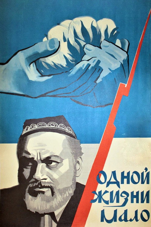 Póster de Одной жизни мало