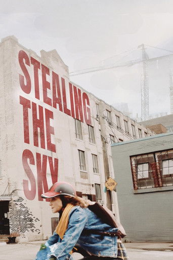 Póster de Stealing the Sky