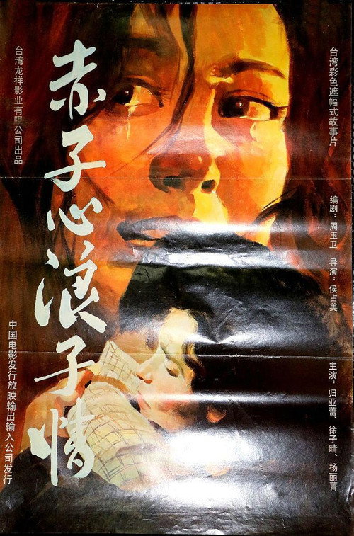 Póster de 赤子心浪子情