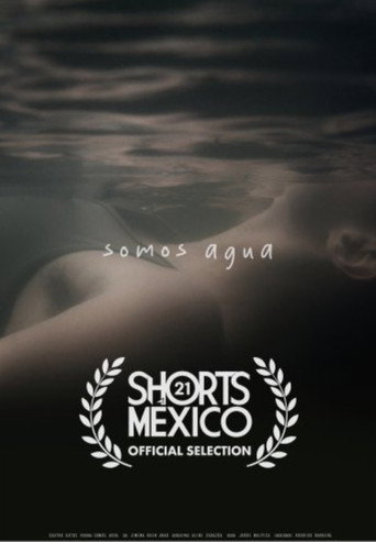 Póster de Somos agua